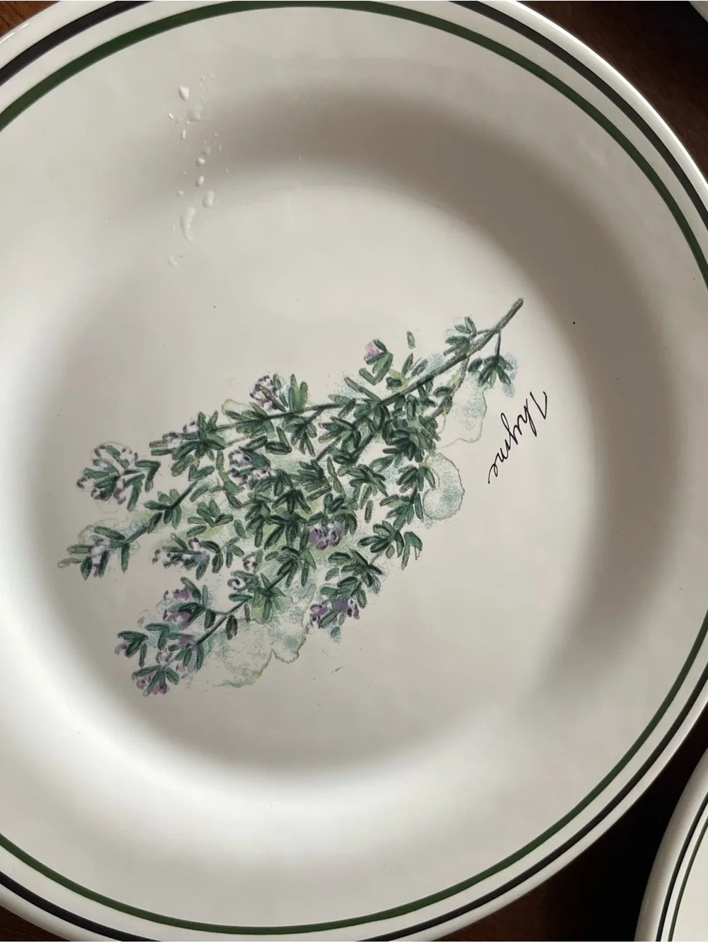 WILLIAMS SONOMA Portugal HERBS SALAD PLATES set of 4 Bay Thyme Cayenne Tarragon
